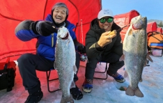 ��â�۾�����, 2�� 9�ϱ��� �������� ��� ����