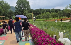 ��������ΰ�����������, ���� ������ ���α׷� ������, ���̵��࡯ ��Ȳ���� ����