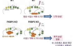 �Ǳ��� ������ ������ ����Ʈ������ �� �̱�� ����� �Ӹ��� ȸ�ΰ� �޶��١�