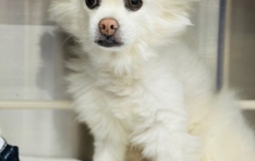 ���� ���� ���� ������ �ɳ������� ������ ġ�� ����