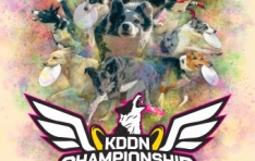 ���� ��ũ���� ��ȸ ��KDDN è�Ǿ�� 2024�� ���������� ������