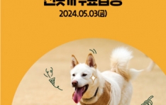 �������� ������̳�, ���������� ��⼼��