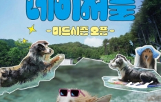 ���ݷ��� ���� �����塯 �������� ����óǮ, 6�� ����