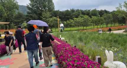 ��������ΰ�����������, ���� ������ ���α׷� ������, ���̵��࡯ ��Ȳ���� ����