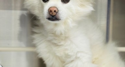 ���� ���� ���� ������ �ɳ������� ������ ġ�� ����