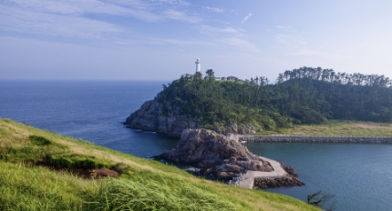 ������-�������� �����ŷ ��ܿ䡯 �¿쿩���, 2025 ��� �ؾ������ǰ ����