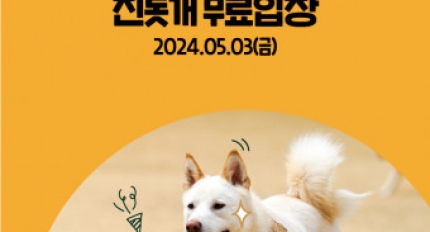 �������� ������̳�, ���������� ��⼼��