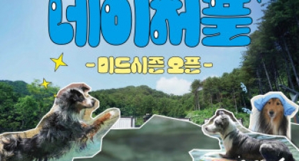 ���ݷ��� ���� �����塯 �������� ����óǮ, 6�� ����