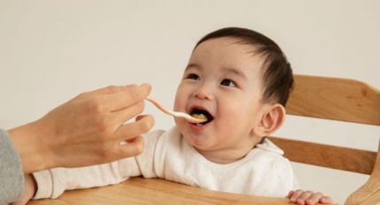 �Ѹ� ���Ƶ� �� �ش�... 2024�� Ȯ �޶����� ���ڳ� �����å